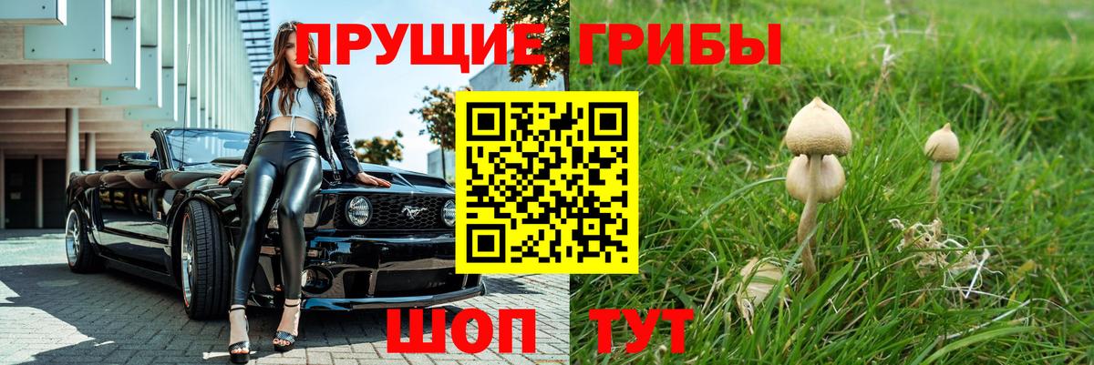 Псилоцибиновые грибы мухоморы  Вход с VPN  купить наркотик  Набережные Челны 